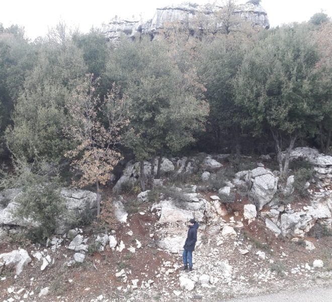 Kfardebian_#1_Face_terrain