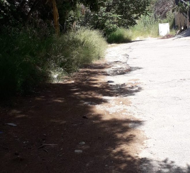 WhatsApp Image 2020-05-17 at 10.28.45 PM