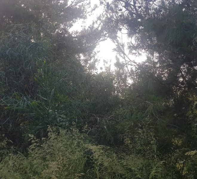 WhatsApp Image 2020-05-22 at 6.41.08 PM