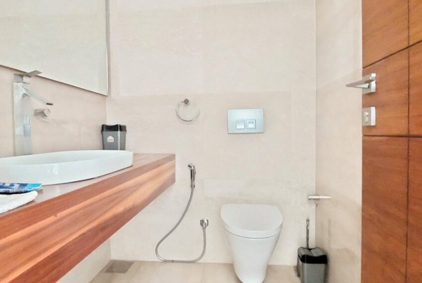 Picture-82317264-6 (1)