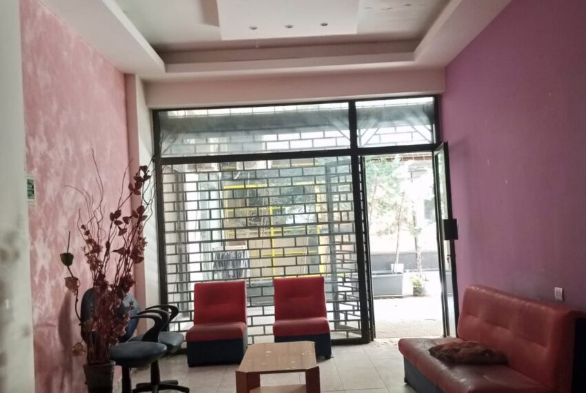 Picture-82346958-3 (1)