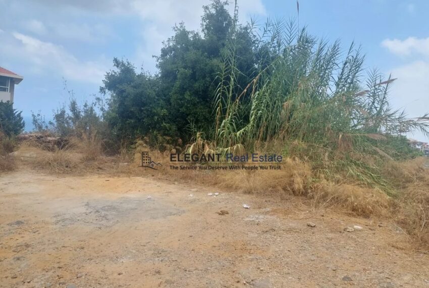 Picture-83195551-2 (1)