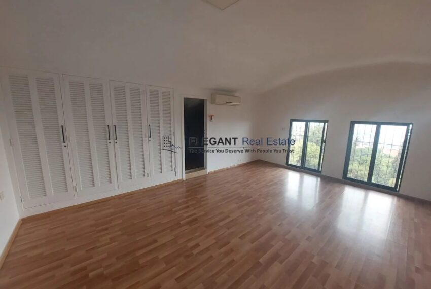 Picture-83196301-10 (2)