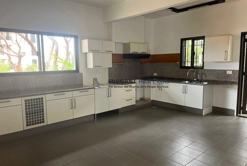 Picture-83196301-5 (2)