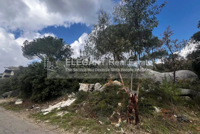 Picture-84159879-2-watermark