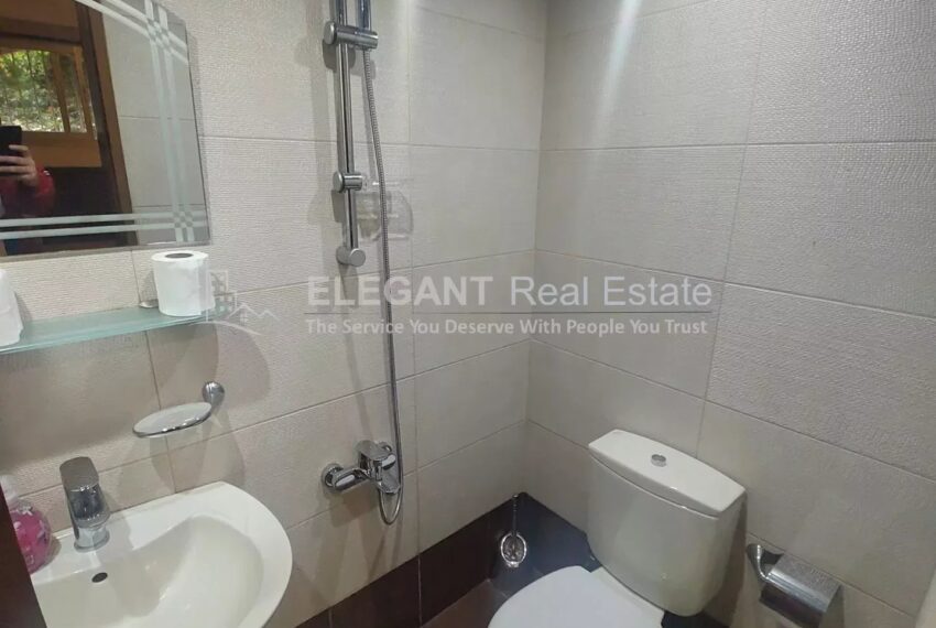 Picture-84263570-5-watermark