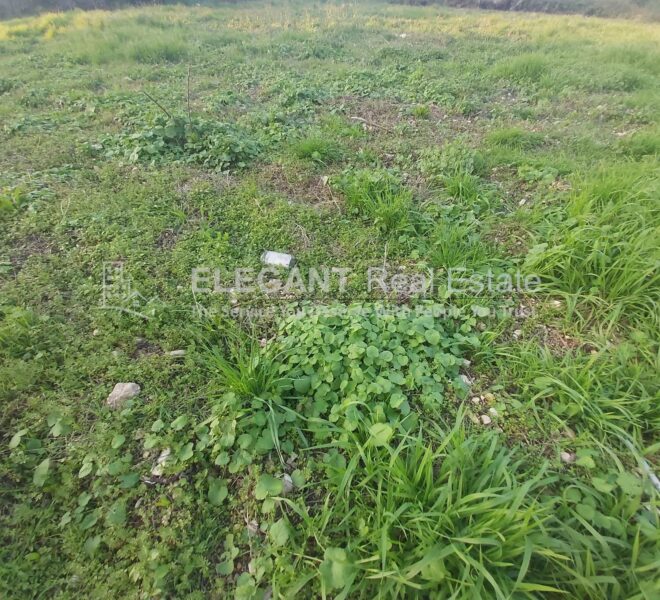 Picture-84277891-1-watermark