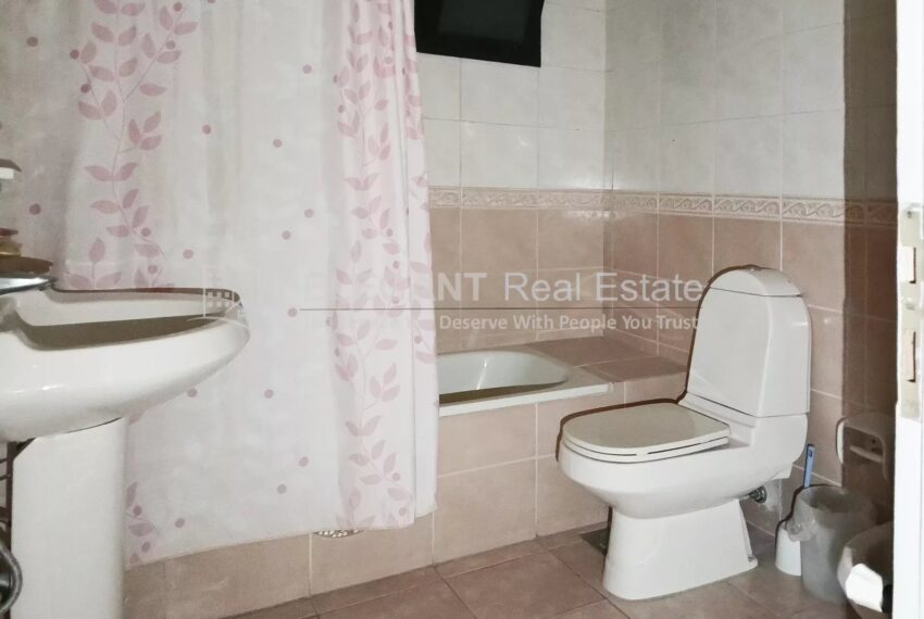 Picture-84279934-11-watermark