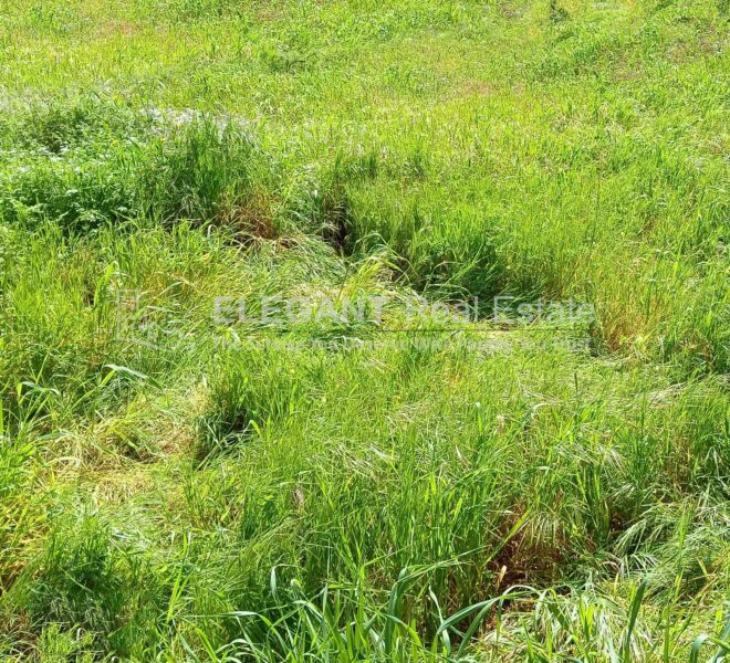 Picture-84359018-1-watermark