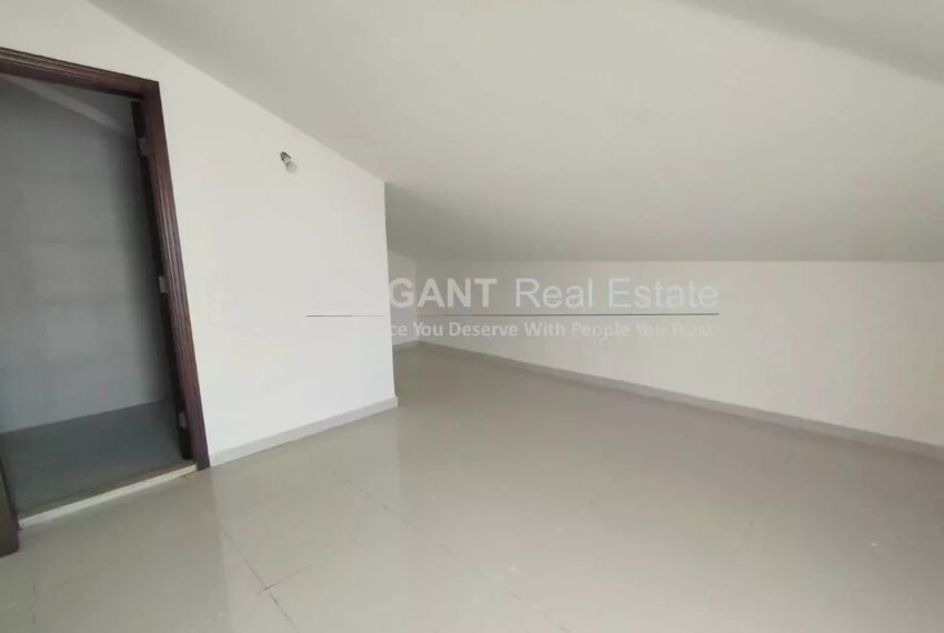 Picture-84365133-1-watermark