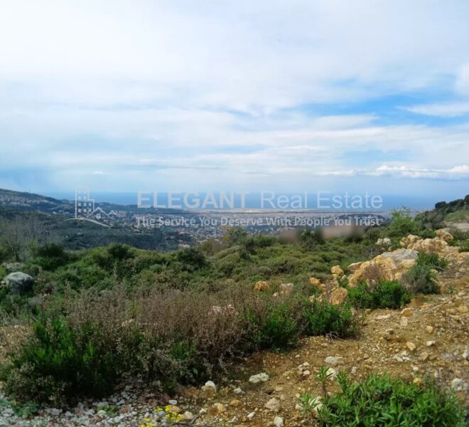 Picture-84388717-1-watermark