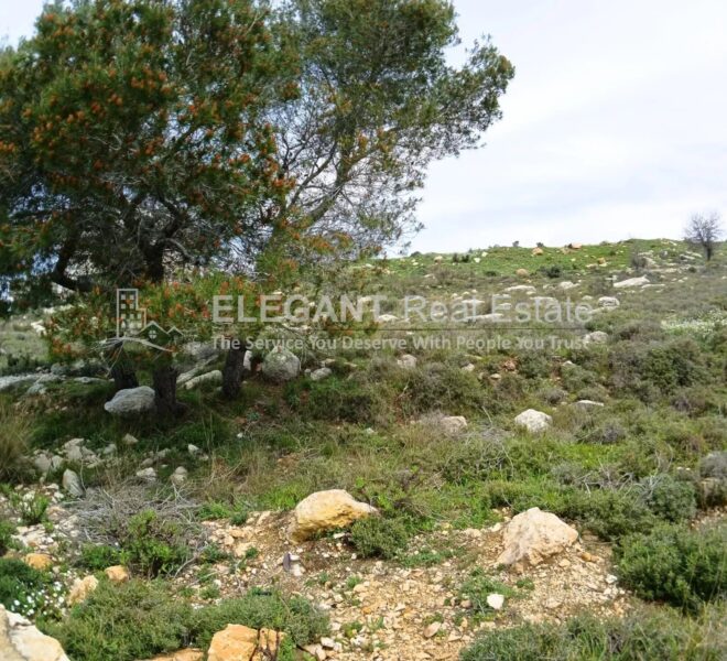 Picture-84392124-1-watermark