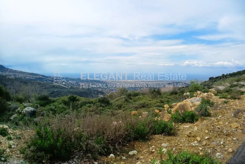 Picture-84392124-2-watermark