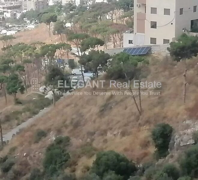 Picture-84660135-1-watermark