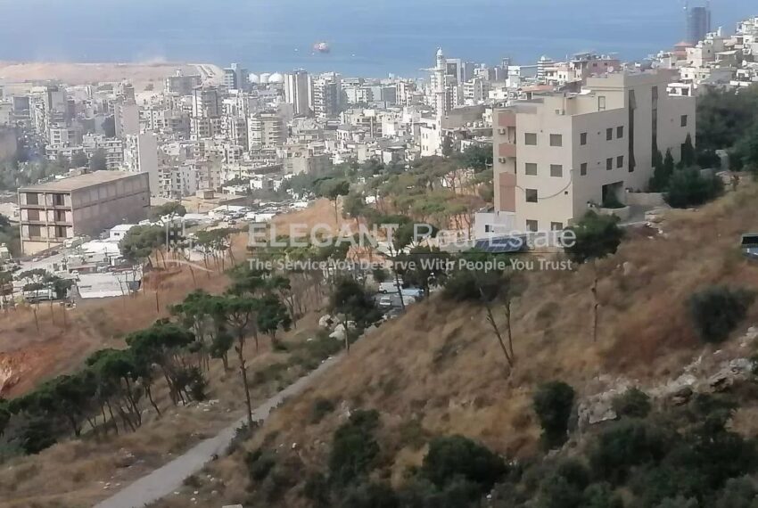 Picture-84660135-2-watermark