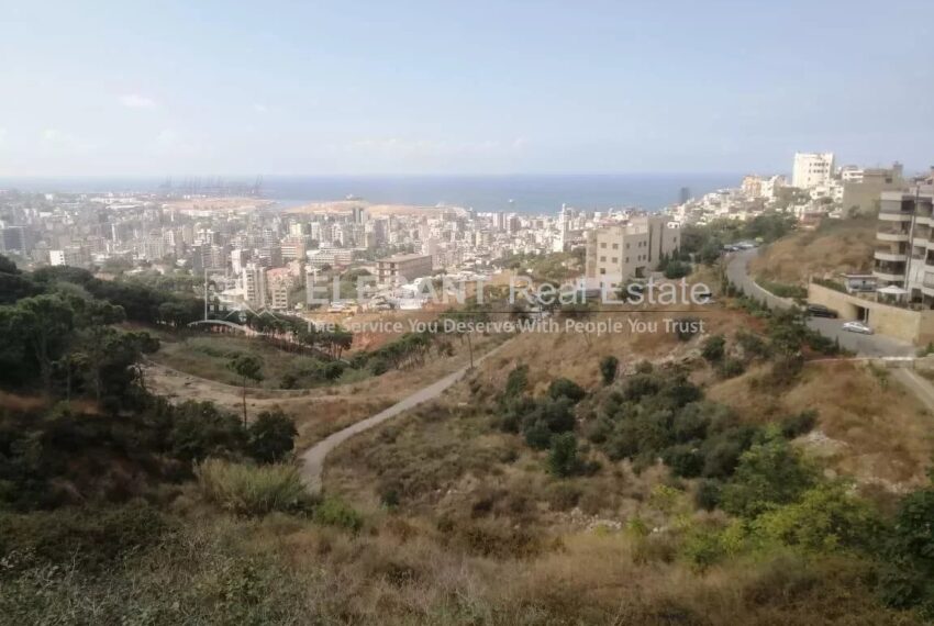 Picture-84660135-3-watermark