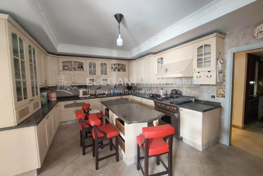 Picture-84663781-6-watermark