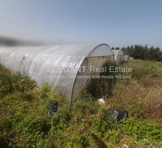 Picture-84463807-1-watermark