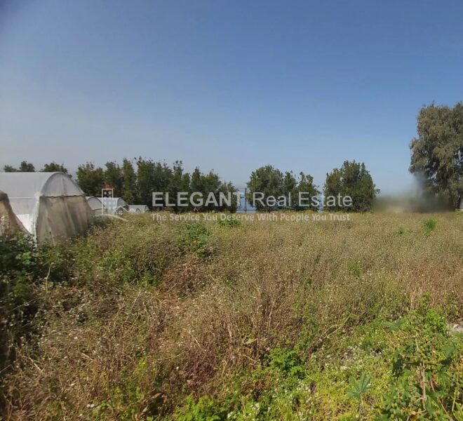 Picture-84463855-1-watermark