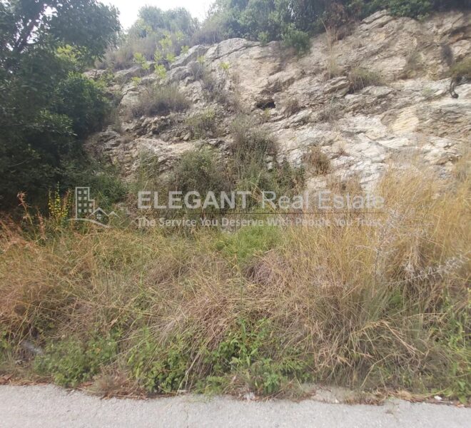 Picture-84468116-1-watermark