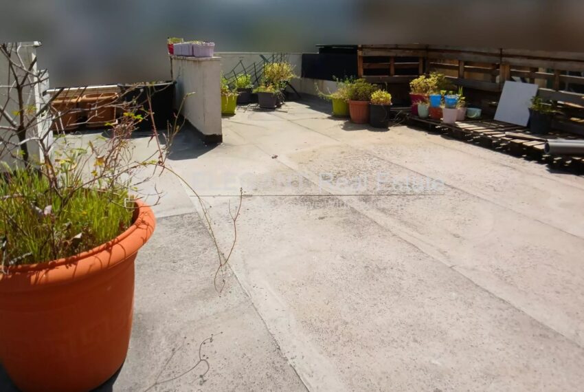 Picture-84470956-6-watermark