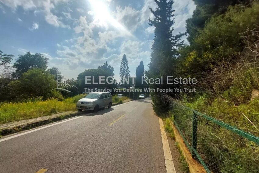 Picture-84515333-2-watermark