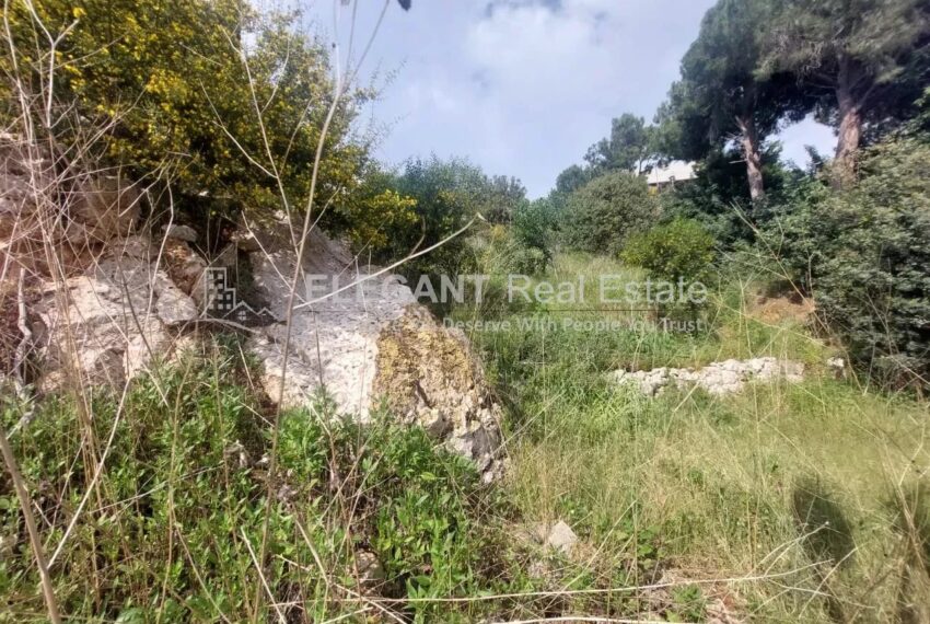 Picture-84515333-4-watermark