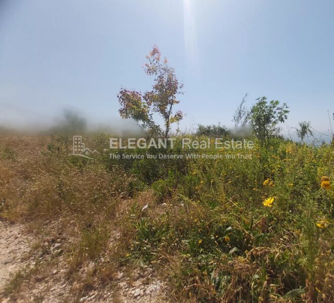 Picture-84579275-1-watermark