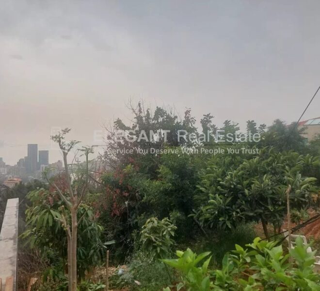 Picture-84644978-1-watermark