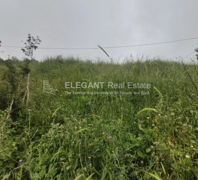 Picture-84681652-1-watermark