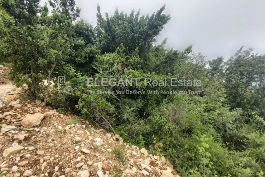 Picture-84681662-2-watermark