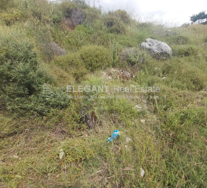 Picture-84709789-1-watermark