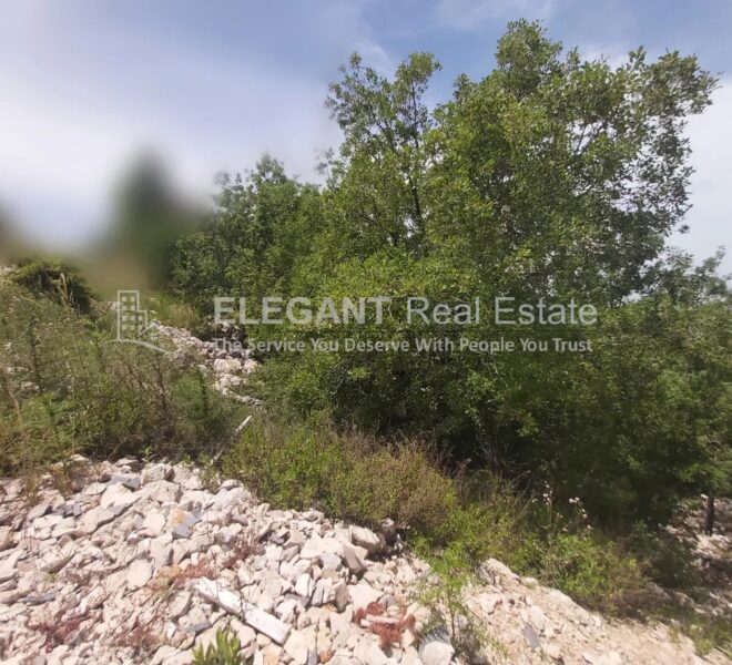 Picture-84723056-1-watermark