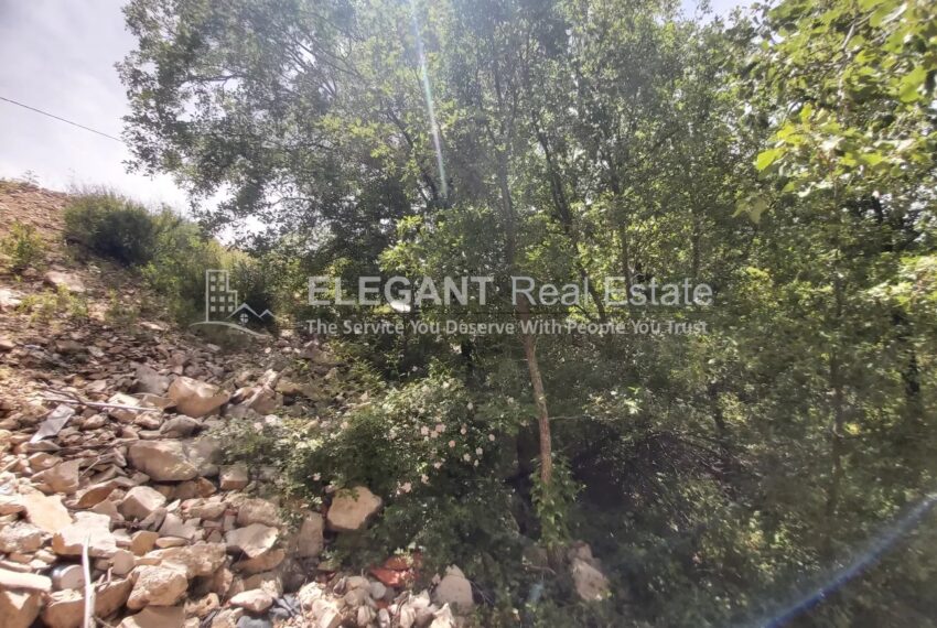 Picture-84723056-2-watermark