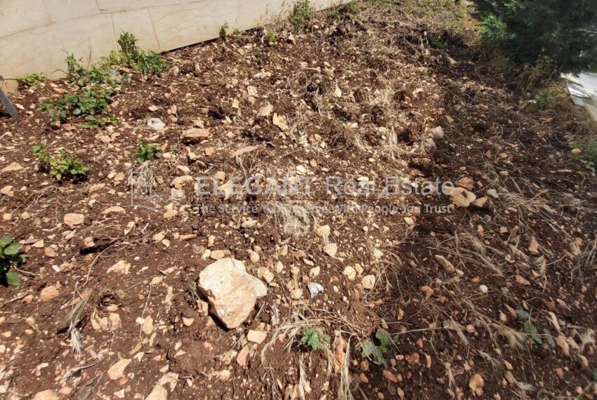 Picture-84734016-7-watermark