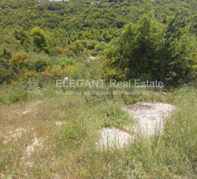 Picture-84805361-1-watermark