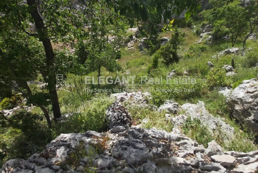 Picture-84807810-2-watermark