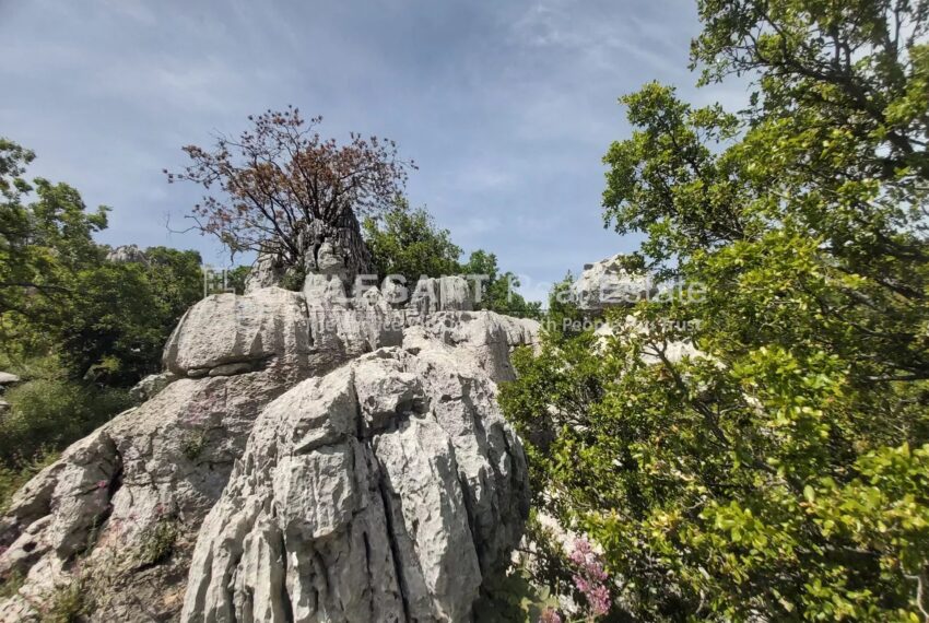 Picture-84807810-3-watermark