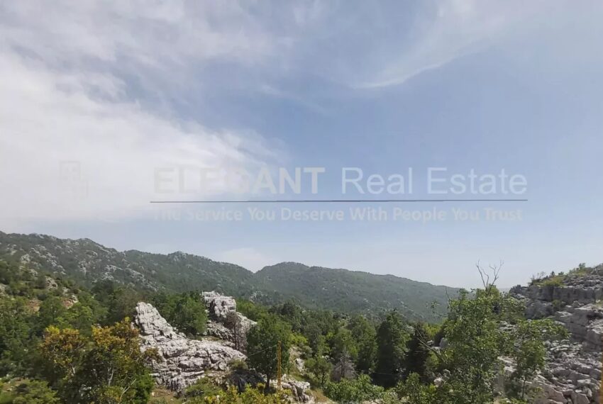 Picture-84807810-4-watermark