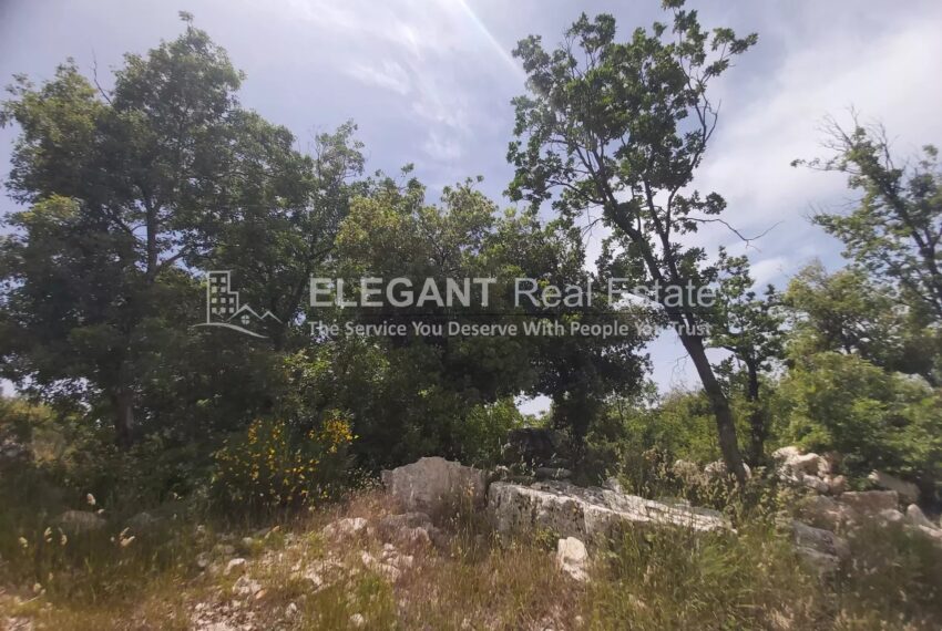 Picture-84837133-2-watermark