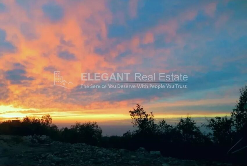 Picture-84842435-2-watermark