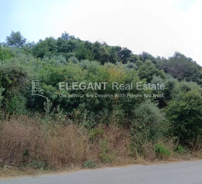 Picture-85024292-1-watermark