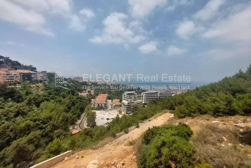 Picture-85034315-7-watermark