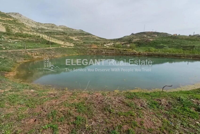 Picture-85036105-3-watermark (1)