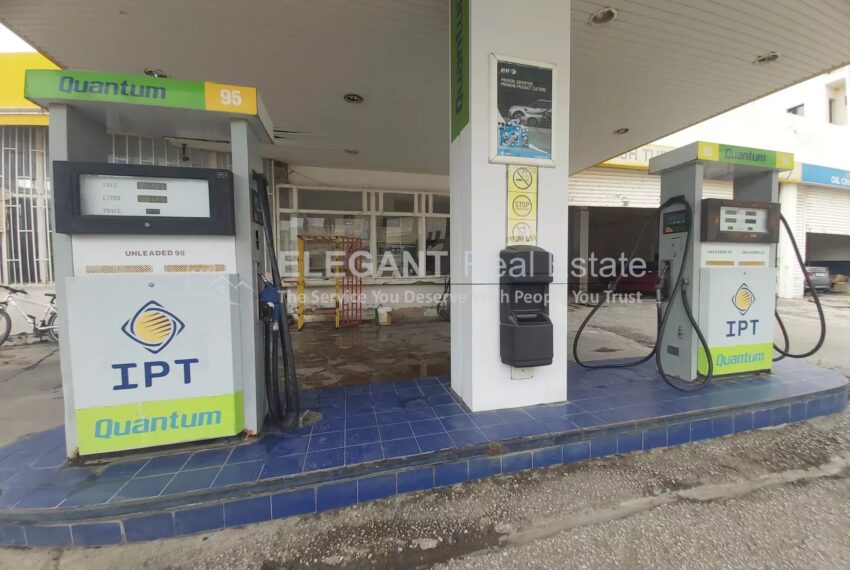 Picture-85050187-1-watermark