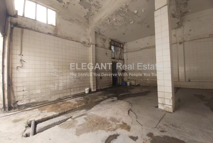 Picture-85050187-3-watermark