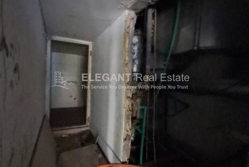 Picture-85117253-7-watermark