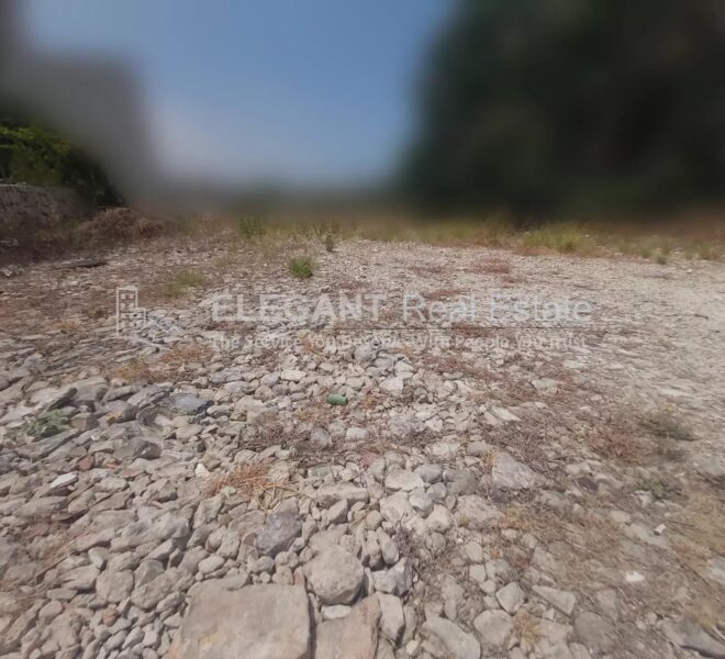 Picture-85064649-1-watermark