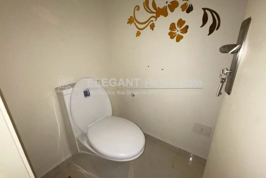 Picture-85066271-4-watermark