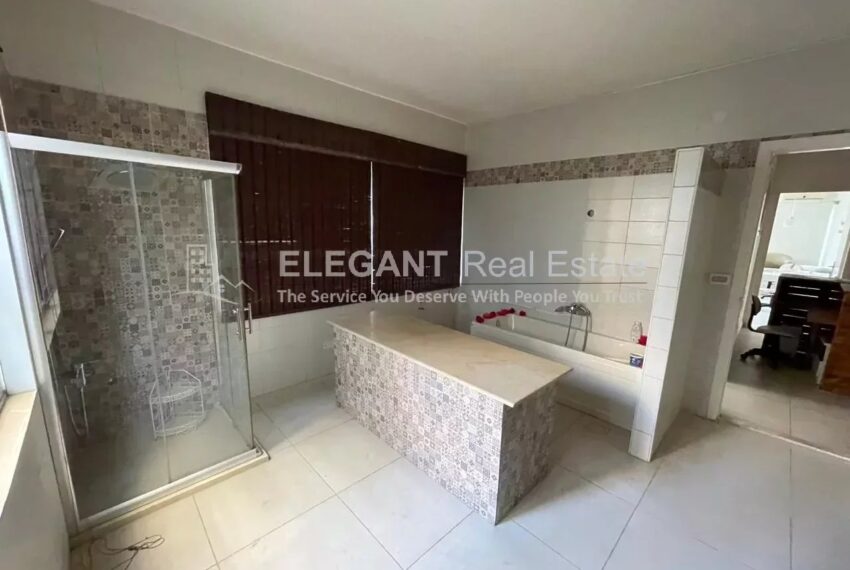 Picture-85066281-3-watermark